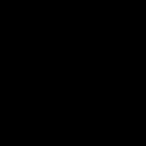 Meet your Posher, Luid